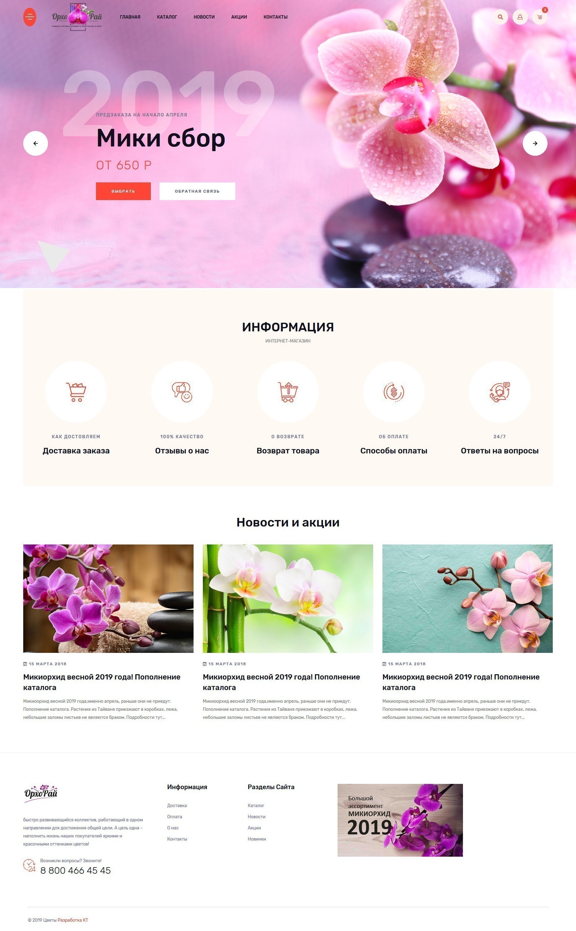 Интернет магазин орхидей, веб студии продвижение сайтов Краснодар, инстаграмм цветы Краснодар